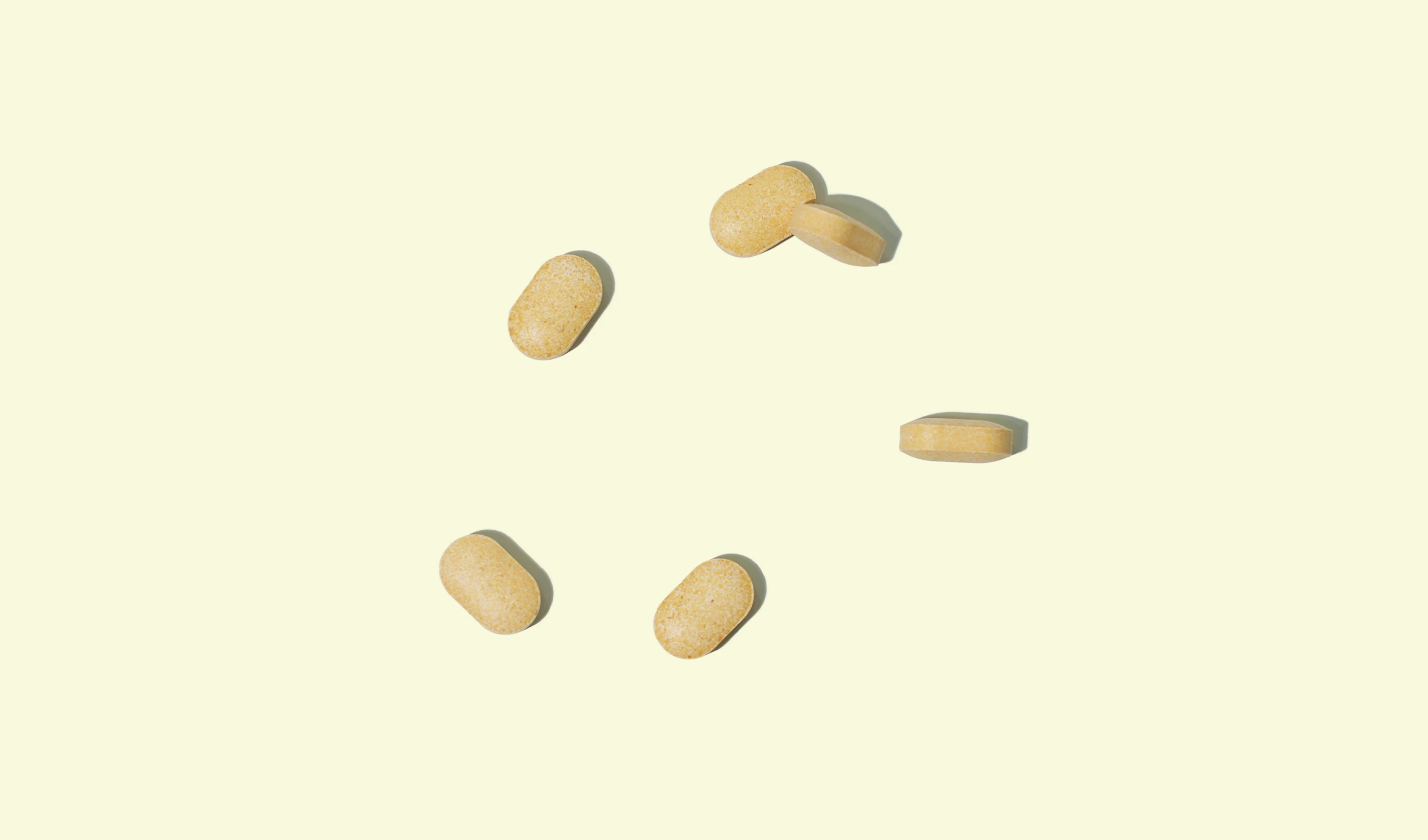 간 채움 밀크씨슬
