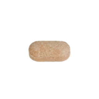 리얼카테킨